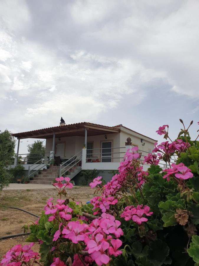A Wonderful Relaxing Place. Nice View. Romantic Sunset Douneika  Exterior photo